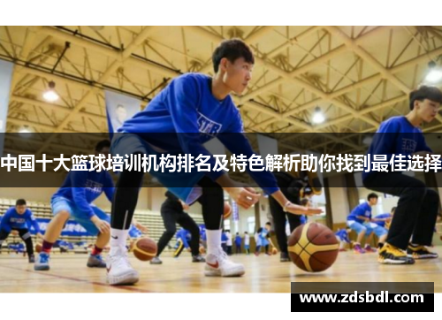 中国十大篮球培训机构排名及特色解析助你找到最佳选择