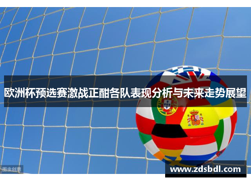 欧洲杯预选赛激战正酣各队表现分析与未来走势展望