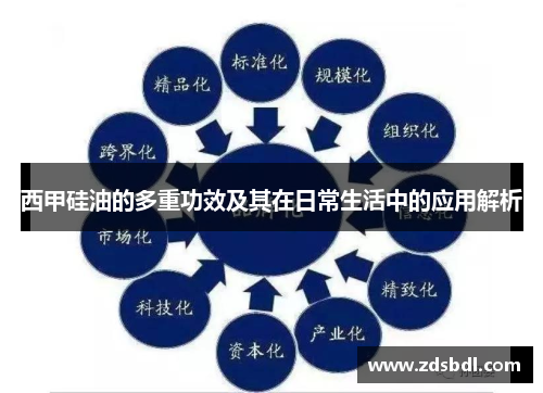 西甲硅油的多重功效及其在日常生活中的应用解析