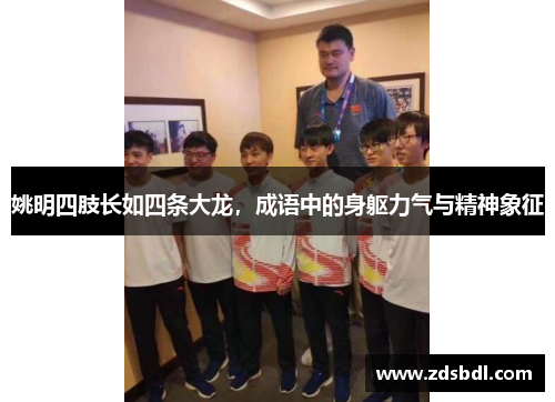 姚明四肢长如四条大龙，成语中的身躯力气与精神象征