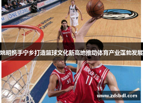 姚明携手宁乡打造篮球文化新高地推动体育产业蓬勃发展