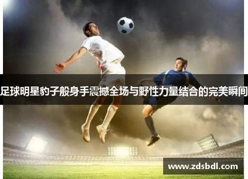 足球明星豹子般身手震撼全场与野性力量结合的完美瞬间