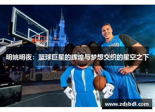 明姚明夜：篮球巨星的辉煌与梦想交织的星空之下
